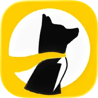 CSM - Underdog Sports